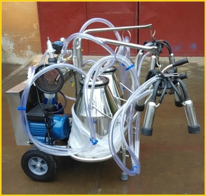 KLN-máquina de ordeño electrónica automática para animales, máquina pequeña para ordeñar animales, 20-24 - Product Image 5