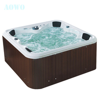 Jacuzzi Balboa américain en acrylique pour 6 personnes, bain à remous extérieur pour villa, baignoire de massage au sol, spa sexy