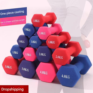 גומי צבעוני + ברזל יצוק סט ספורט משושה יצרני משקולות משושה ציוד ישיר מכירות ציוד ספורט נייד - Product Image 2