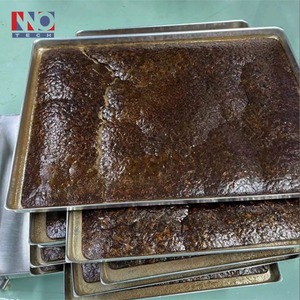 コーヒー凍結乾燥用デジタル制御付きステンレス鋼凍結乾燥機 - Product Image 5