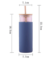 TY Couvercle en bambou 500ml Bouteille d'eau à thé en verre avec paille Housse de protection en silicone Tasse portable
