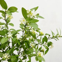 Dedaunan Tanaman Buatan, Daun Buah Peri Islandia, Daun Eucalyptus, Pembuatan Lanskap Tanaman Evergreen Nordik