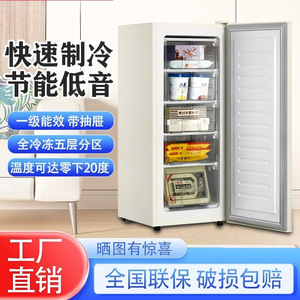 Upright Freezer 100L Single Temperature Manual Defrost Compact Home Use Dormitory Refrigerator - Product Image 5