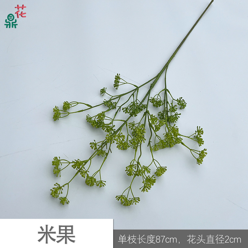 Rice Fruit Y - Vert clair