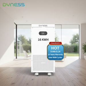 Batería <span class=keywords><strong>Solar</strong></span> Dyness LiFePO4 de 16 kWh, 8000 Ciclos, PowerBrick SC 51.2V 314Ah con WiFi e IP20, Batería de Litio de 16 kWh para el Hogar - Product Image 1