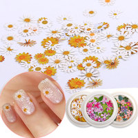 50 pièces/boîte mode pâte de bois anglais lettres dessin animé feuille ongles autocollants décalcomanie naturel Nail Art fleur pour ongles accessoires