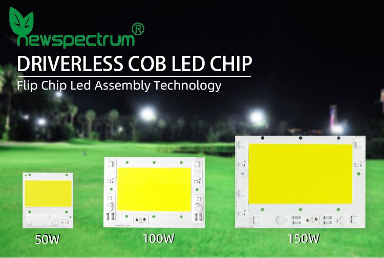 No Drive High Power Cob Led Chip On Board For Led Flood Light