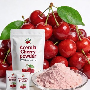Polvo de Extracto Herbal de Acerola Silvestre, Grado Alimenticio, Certificado ISO9001, Empaquetado en Tambor para Bebidas, Alimentos y Uso OEM - Product Image 4
