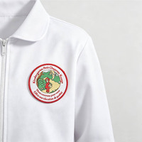 Écussons en tissu toile tissé de haute qualité avec logo personnalisé, faits à la main, durables et éco-responsables, à coudre sur les chapeaux et les uniformes scolaires