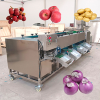 Automatische fruit- en groentegraffinetteermachine met rollen