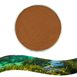 Nước hòa tan chiết xuất từ rong biển bán buôn tự nhiên <span class=keywords><strong>fucoxanthin</strong></span> bột tảo bẹ chiết xuất - Product Image 1