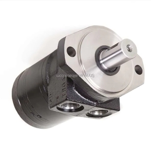 Moteur à piston hydraulique TE0100CW260AAAB TE0130CW260AAAB TE0165CW260AAAB TE0195CW260AAAB TE0390LW120AAAB - Product Image 5