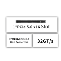 Carte adaptatrice GPU Miwin Custom 2 MCIO X8 vers 1 PCIE 5.0 X16 OEM ODM, 1 emplacement pour carte mère PCIe 5.0 X16 pour serveur