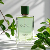 Bouteilles de parfum en verre à brume fine, vides, rectangulaires, personnalisées par le fabricant, en gros, 1oz 30ml 50ml 100ml, avec marquage à chaud, échantillon gratuit