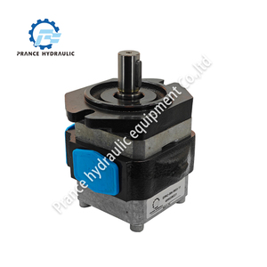 Pompe à engrenages interne EIPH pour le moulage par injection et les machines-outils, 004-250cc - Product Image 2