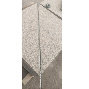 Carreau de sol en pierre de <span class=keywords><strong>granit</strong></span> rouge 60x60 nouveau <span class=keywords><strong>granit</strong></span> de finition de surface flammé G664 <span class=keywords><strong>granit</strong></span> - Product Image 2