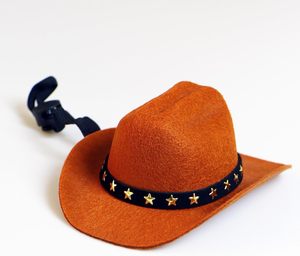 Mini Chapeau de Cowboy Rétro en Jean pour Petits Chiens et Chats – Accessoire Réglable pour Fêtes, Vacances et Cosplay – Léger, Confortable, en Non-tissé - Product Image 2