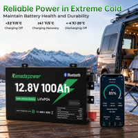 Batterie LiFePO4 Slim 12V 100Ah |   Batterie au lithium 1,28 kWh, compacte et peu encombrante, pack de batteries Lifepo4 pour la conversion de voitures classiques en véhicules électriques