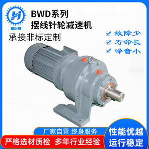 Fabricant en gros de réducteurs cycloïdaux à roue à aubes à économie d'énergie BWDXWD, variateurs de vitesse horizontaux, variateurs de fréquence - Product Image 3