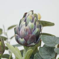 LO-75 Grosir 56CM Buatan Tangan Modern Buah Protea Mirip Thistle Berlapis Flocking Kerajinan Bunga Peony Palsu Realistis untuk Rumah
