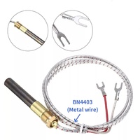 Sensor de llama piloto con generador termopilas de 750mV de latón, compatible con calentadores de agua a gas y chimeneas exteriores, repuestos para reparación