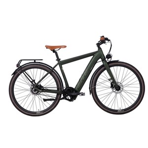 Bicicleta de rekking de 250W, - Product Image 1