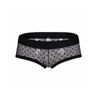 OEM Heren Transparante Mesh Onderbroek Polka Dot Flockprint Onderbroek Op Maat Merklogo Sexy Ademend Bikini Ondergoed