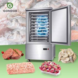 Congélateur de table à faible consommation d'énergie pour viande de poisson et légumes surgelés, avec système de refroidissement rapide en rack profond, ensemble complet - Product Image 1