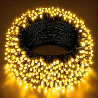 Guirlandes lumineuses LED de Noël pour extérieur, étanches IP65, 10m, 20m, 30m, 50m, avec prise AC 100-240V, conformes CE RoHS, vente en gros directe d'usine
