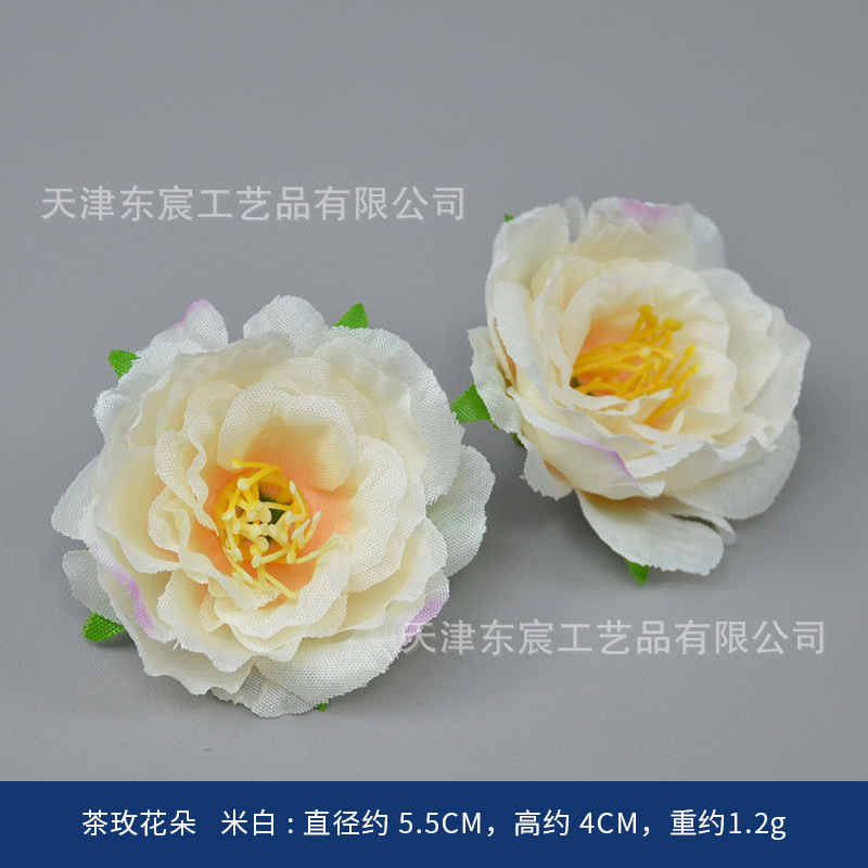 Tea rose blossoms, off-white