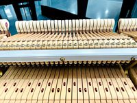 Top Grade Yamahas C2 Grand Piano of Excellent Quality Professional Music Use Japan