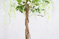 Fabriek Goedkope Prijs Natuurlijke Houten Stam Potted Nep Blauwe Regen Bloemen Boom Kunstmatige Roze Witte Blauwe Regen Boom Te Koop