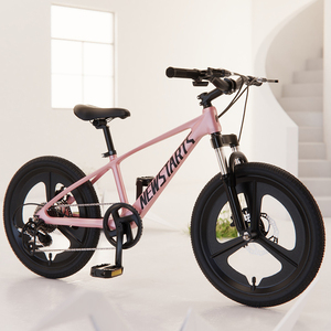 Bicicletta da Montagna per Adolescenti 20 Pollici, Telaio in Lega di Alluminio, Ruota Monoblocco, Doppio Freno a Disco, Forcella Ammortizzata, Comoda per Giovani - Product Image 2