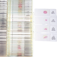 Glass Material and Other Subject 100pcs Human Histology Slides Set Microscope Slide Glass