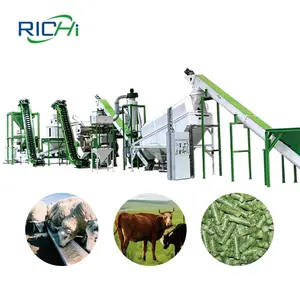 RICHI 1-10 T/H Biomasse Canne à sucre Bagasse Ligne complète de granulés pour granulés de biocarburant