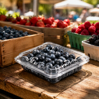 Conteneur en PET ventilé pour baies, boîte d'emballage pour fruits à couvercle articulé, côtelée, pour myrtilles, framboises, fraises, qualité alimentaire, vente en gros