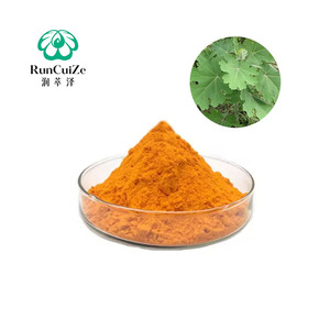 Extrait de <span class=keywords><strong>Macleaya</strong></span> Cordata certifié par l'usine, ISO, alcalins totaux à 60%, poudre - Product Image 1