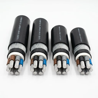 Kabel Daya Multi-Core VLV32 0.6/1kV 4 Inti 50mm2 Aluminium PVC Baja Berlapis SWA CN IEC