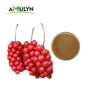 100% Biologische <span class=keywords><strong>Schisandra</strong></span> Bessen <span class=keywords><strong>Schisandra</strong></span> Chinensis <span class=keywords><strong>Extract</strong></span> Poeder - Product Image 3