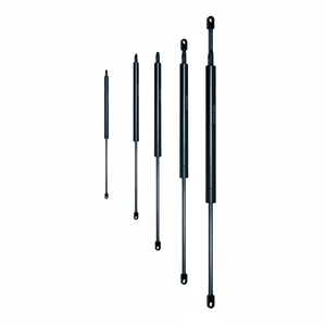 C 250 Course F 300 N CYLINDRE OLÉOPNEUMATIQUE (VO25/030) - Product Image 1