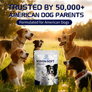 I veterinari raccomandano integratori per la cura degli occhi degli animali domestici, Wolfberry + crisantemo, visione morbida mastica, supporta la salute oculare - Product Image 6