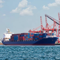 Service de transitaire maritime compétitif et économique DDP porte-à-porte depuis la Chine vers l'Égypte Sokhna FCL+DHL