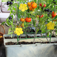 Piège à insectes adhésif pour l'extérieur, 30 pièces, jaune, collant, champignon, moucherons, pièges collants pour plantes