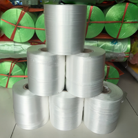 Cordel para Empacar YISHI, para Agricultura del Sudeste Asiático, Atado de Árboles Frutales, Empaque de Vegetales, Refuerzo de Paquetes, Cordel de PE