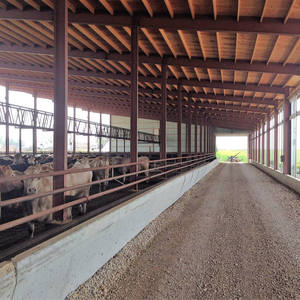 Bâtiment préfabriqué en métal à <span class=keywords><strong>construction</strong></span> rapide et économique pour poulailler, abri en structure acier pour élevage <span class=keywords><strong>de</strong></span> porcs et <span class=keywords><strong>de</strong></span> vaches, <span class=keywords><strong>construction</strong></span> <span class=keywords><strong>de</strong></span> ferme - Product Image 2