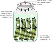 Couvercle de Fermentation Sans Eau pour Bocaux Mason - Silicone Alimentaire Écologique en Gros