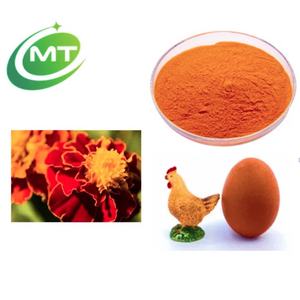 ตัวอย่างฟรี สารสกัดดอกดาวเรืองแอฟริกัน ผงดอกดาวเรือง สารสกัดจากตากีตีส เอเร็กต้า ผงลูทีน - Product Image 3