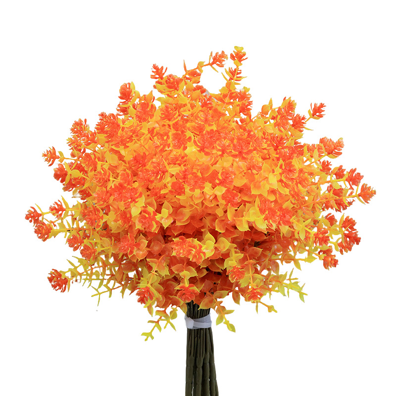 Automne Jiali Huaxihong