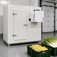 Chambre froide commerciale sur mesure RTK, faible niveau sonore, bonne isolation, pour le stockage de viande, de fruits de mer, de fruits et de légumes