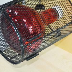 Bombillas de Sauna con Luz Roja EMF de 3 Bombillas, Fabricación ODM, Bombillas Saunair EMF, Sauna Dinámica de Infrarrojos Lejanos con Terapia de Luz Roja - Product Image 2